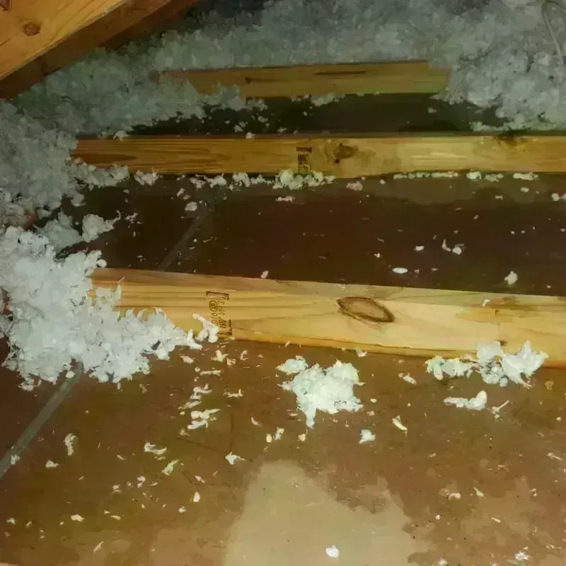 Attic Water Damage in Lindsay, TX