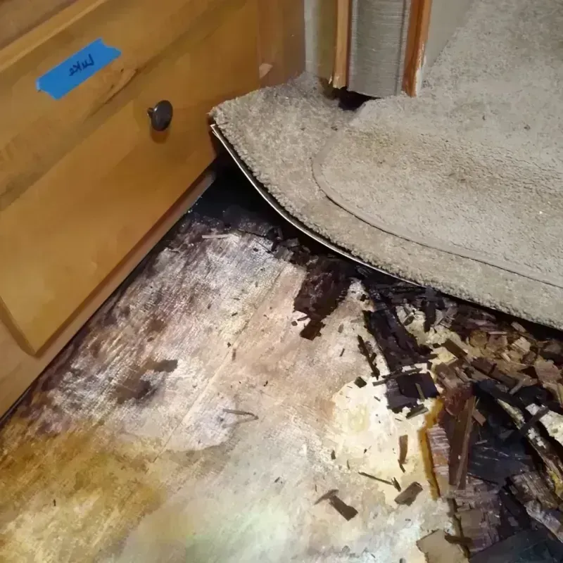 Wood Floor Water Damage in Lindsay, TX